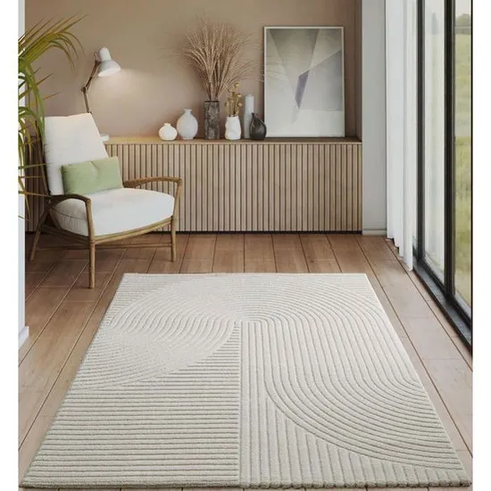 Tapis Moderne